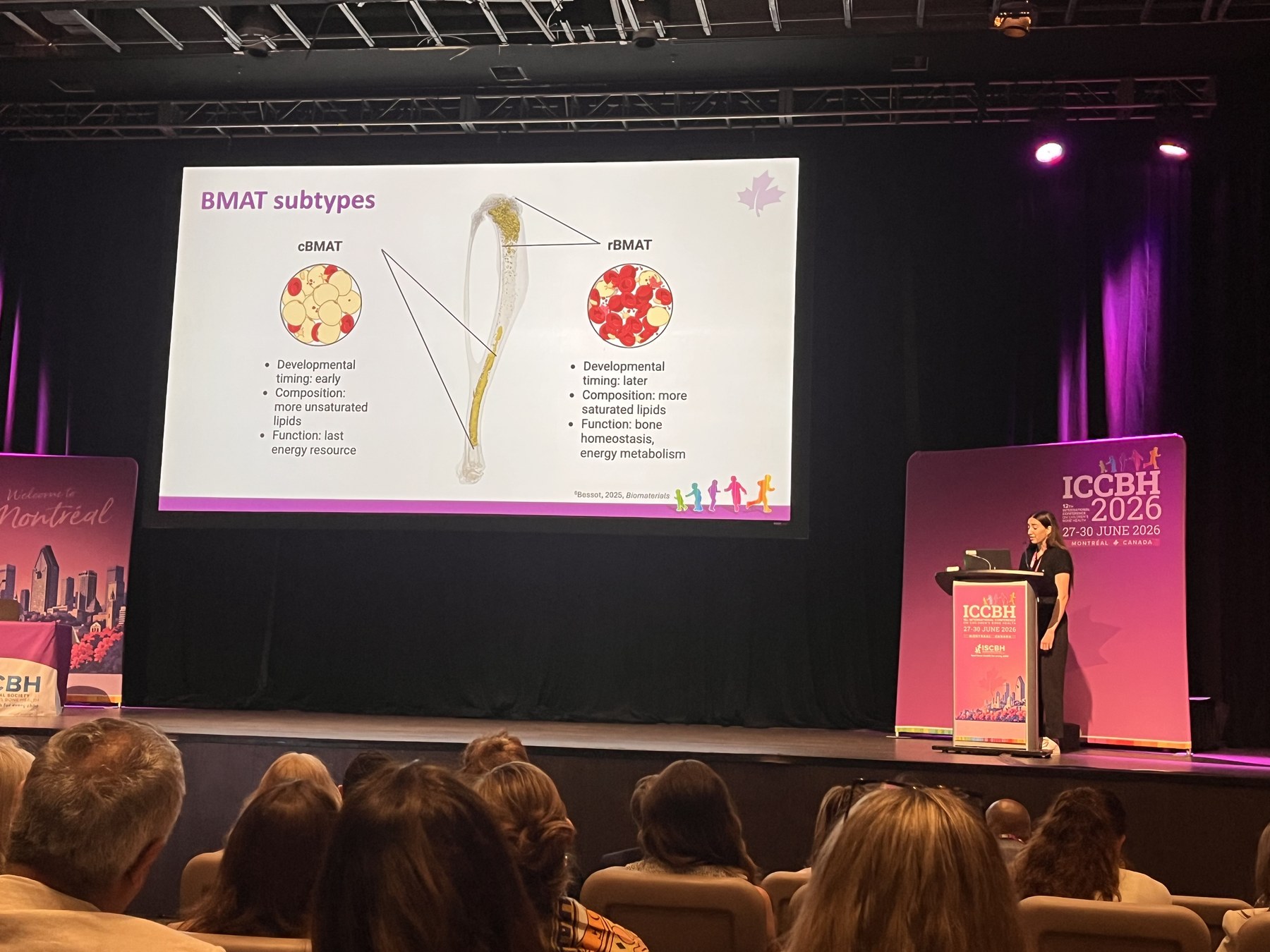 Alana Stahl presenting a late-breaking podium presentation on sex-specific differences in bone marrow adiposity during growth at ICCBH 2026.